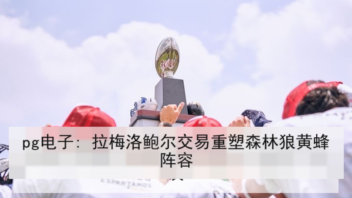 pg电子: 拉梅洛鲍尔交易重塑森林狼黄蜂阵容
