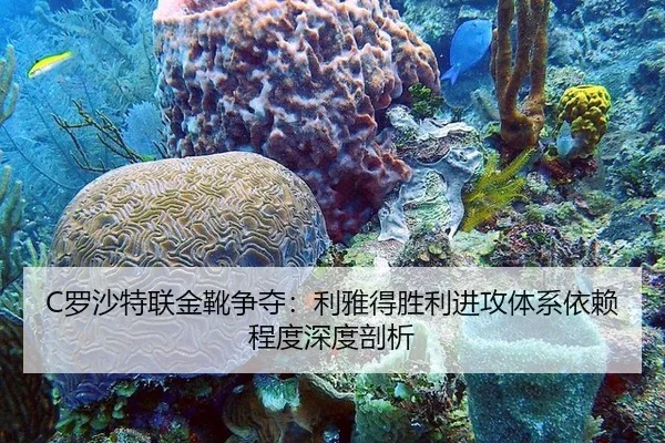 C罗沙特联金靴争夺：利雅得胜利进攻体系依赖程度深度剖析