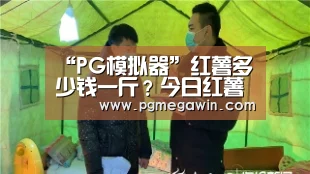 PG直播