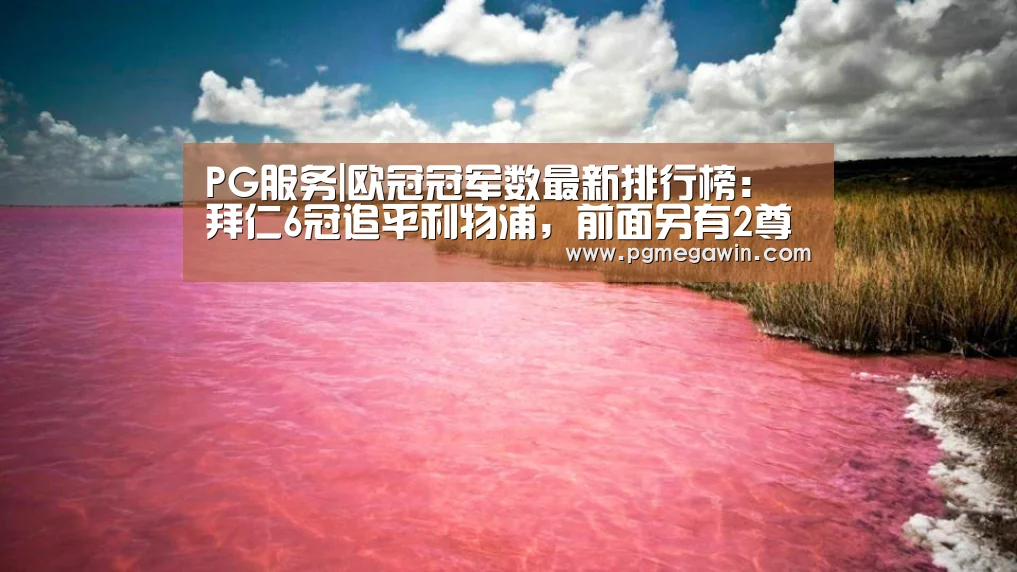 PG公司