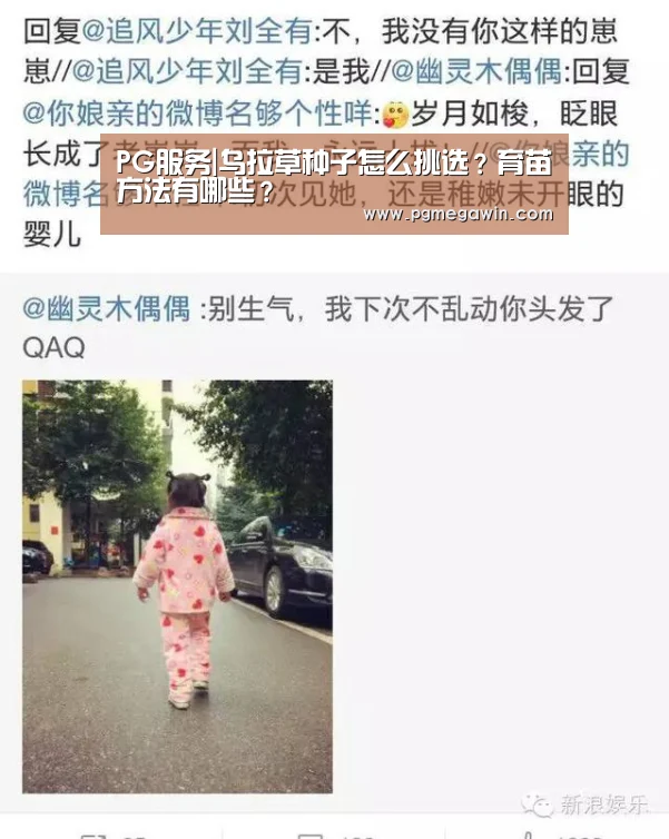 PG直播