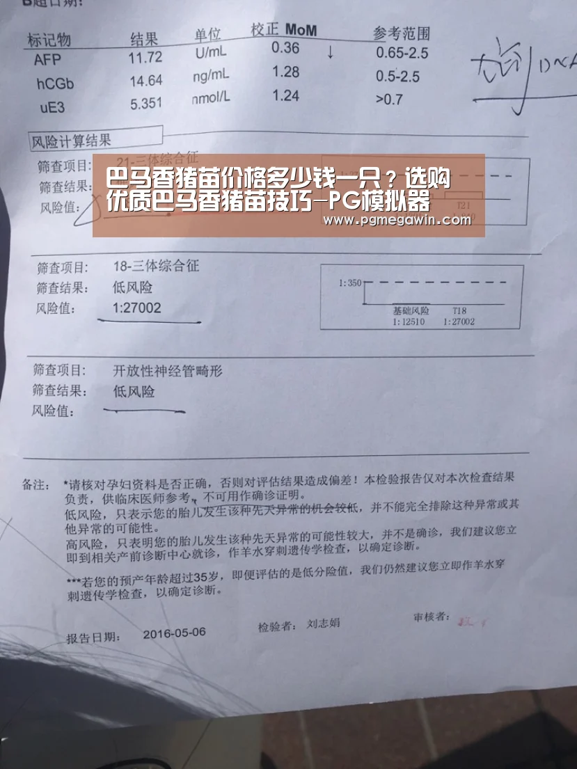 PG模拟器