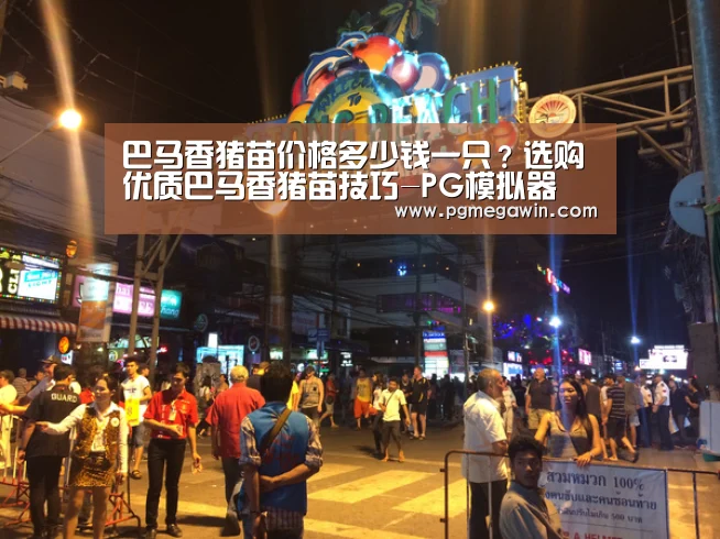 PG模拟器