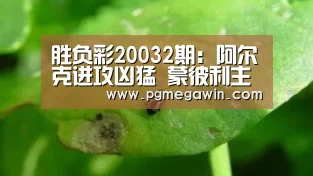 PG直播
